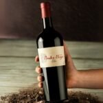 ⁦גרן מלבק , פיידרה נגרה⁩ – תמונה ⁦2⁩