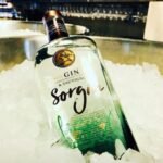 ⁦Sorgin Gin Bordeaux, France⁩ – תמונה ⁦2⁩