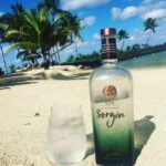 ⁦Sorgin Gin Bordeaux, France⁩ – תמונה ⁦4⁩