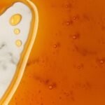 ⁦דבש אקליפטוס TA20+⁩ – תמונה ⁦4⁩