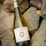 ⁦שרדונה , טריבוטו⁩ – תמונה ⁦2⁩