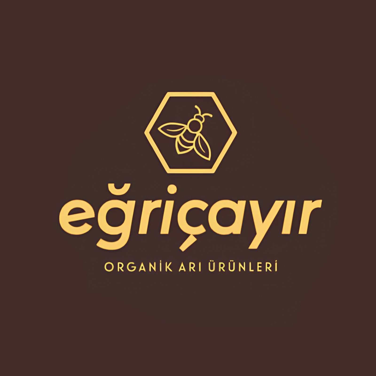 Egricayir LOGO