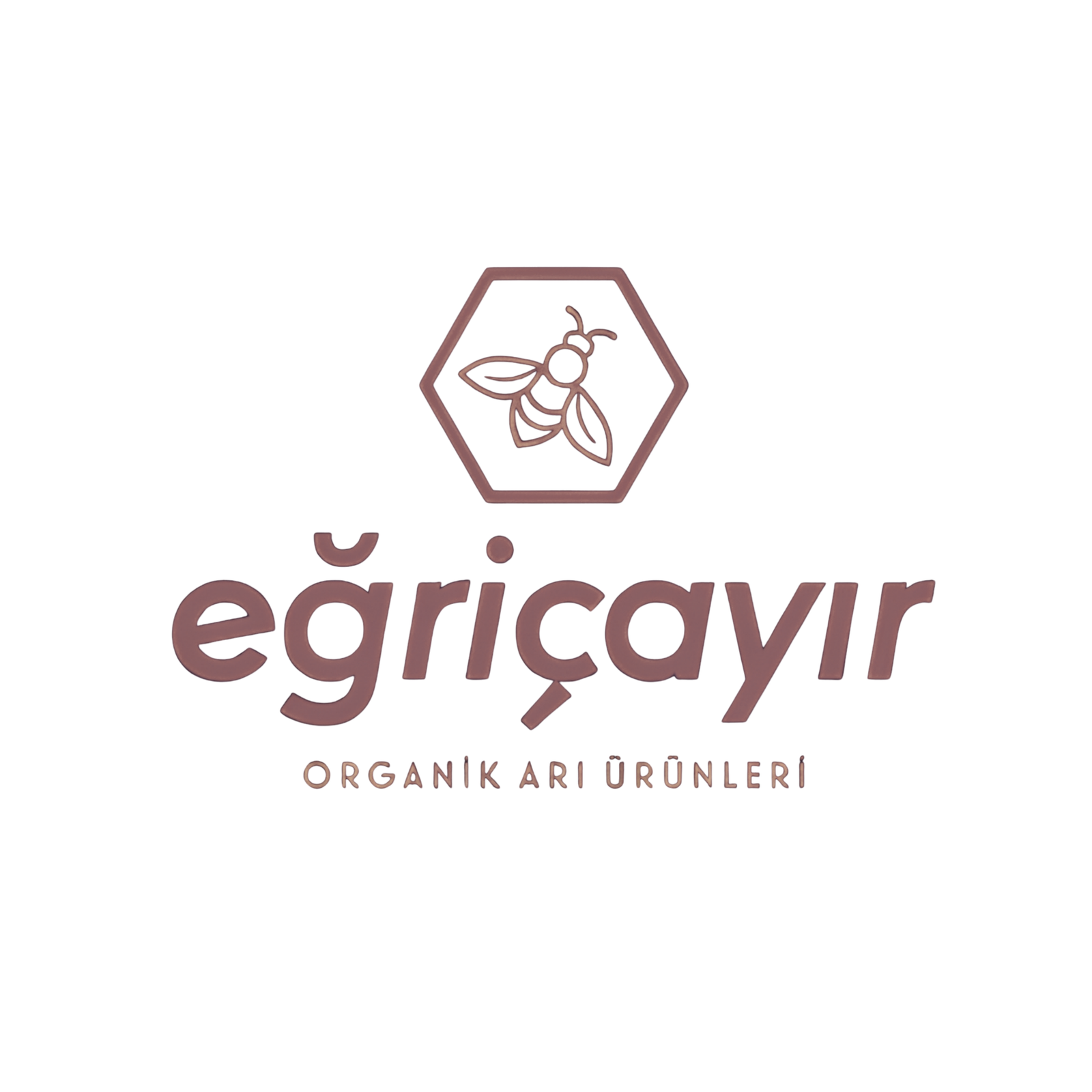 Egricayir LOGO